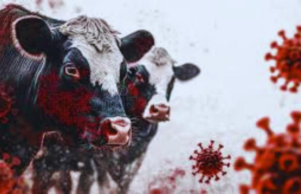 Powerful Facts on Highly Pathogenic Avian Influenza